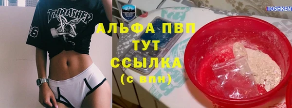 стаф Алексин