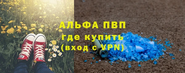 стаф Алексин