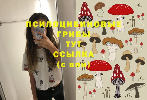 а пвп мука Абдулино