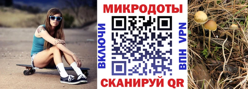 Галлюциногенные грибы мухоморы  закладка  Курлово 